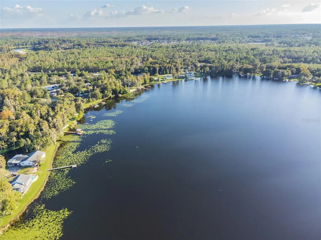 Davista New Port Richey FL 34654
