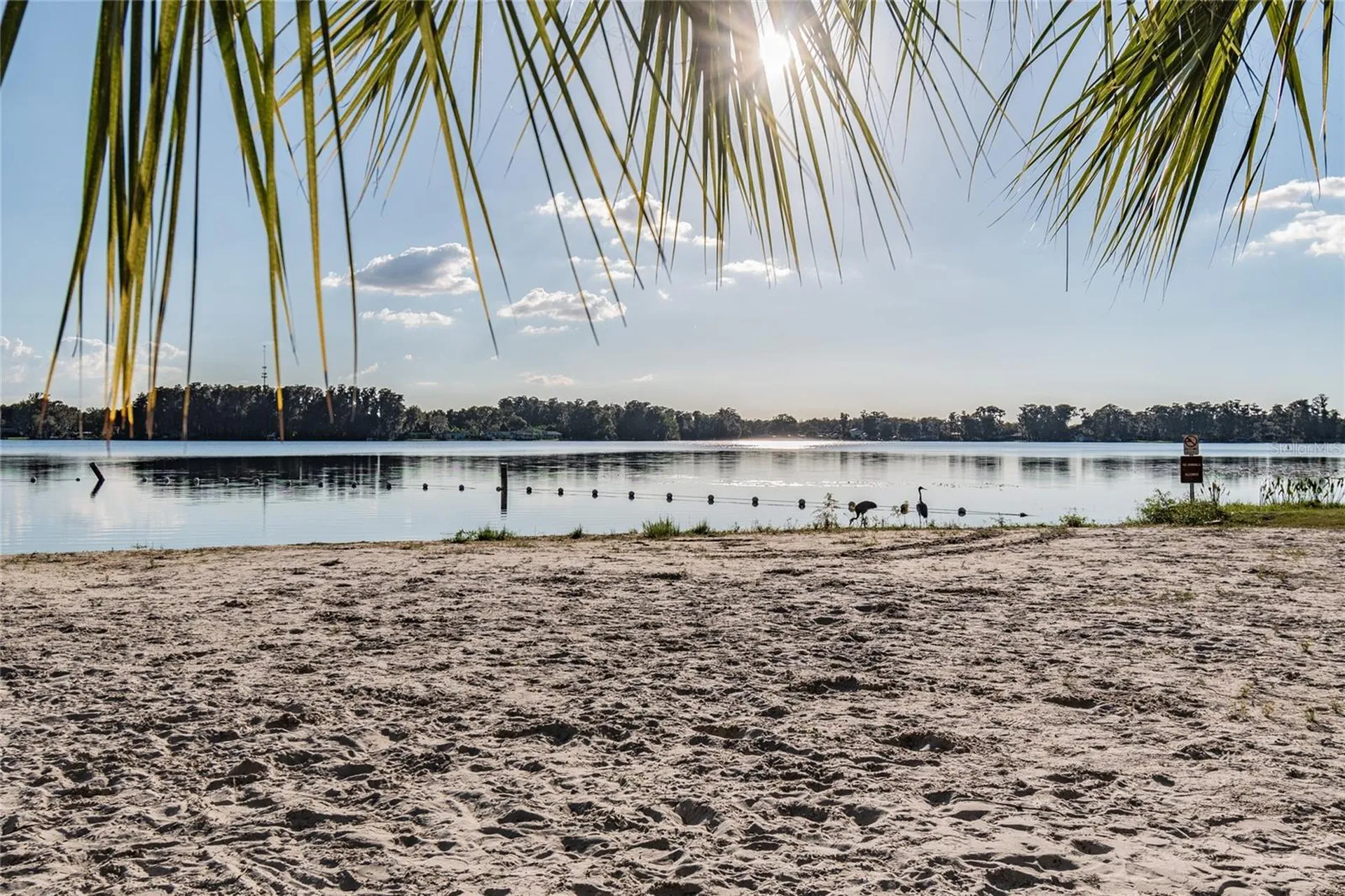 Davista New Port Richey FL 34654