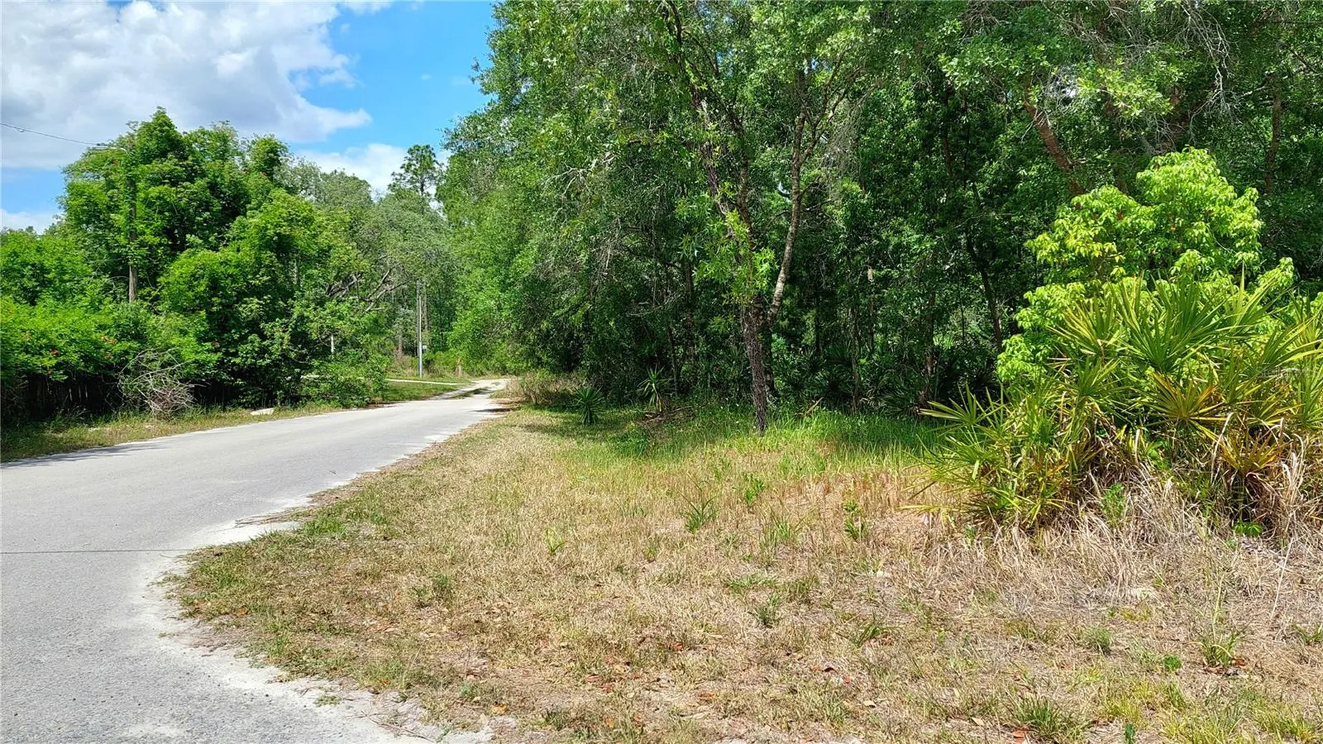 Davista New Port Richey FL 34654