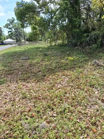 552 NE Gurley Avenue Lake City FL 32055