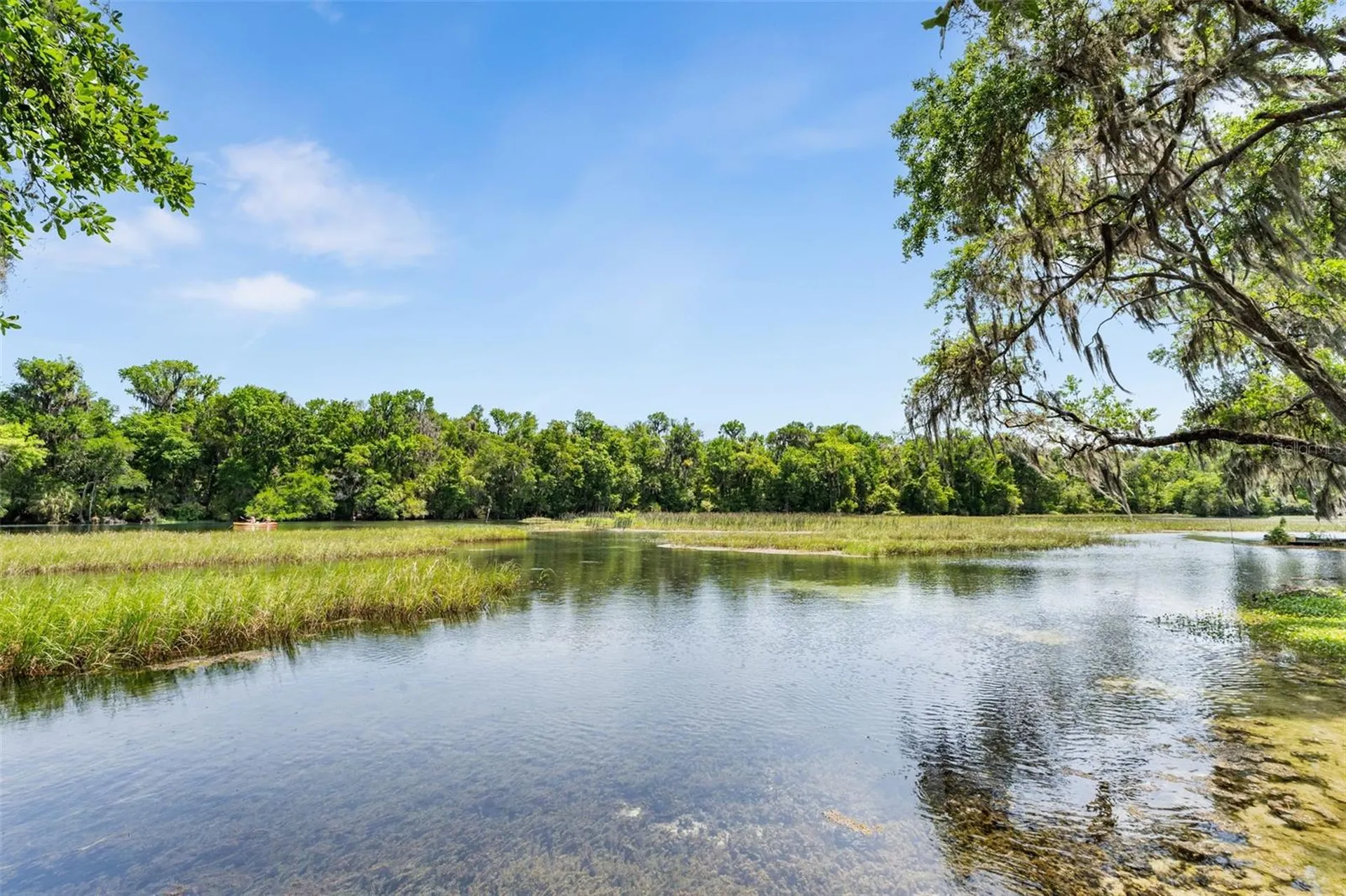 9075 SW 190th Avenue Road Dunnellon FL 34432
