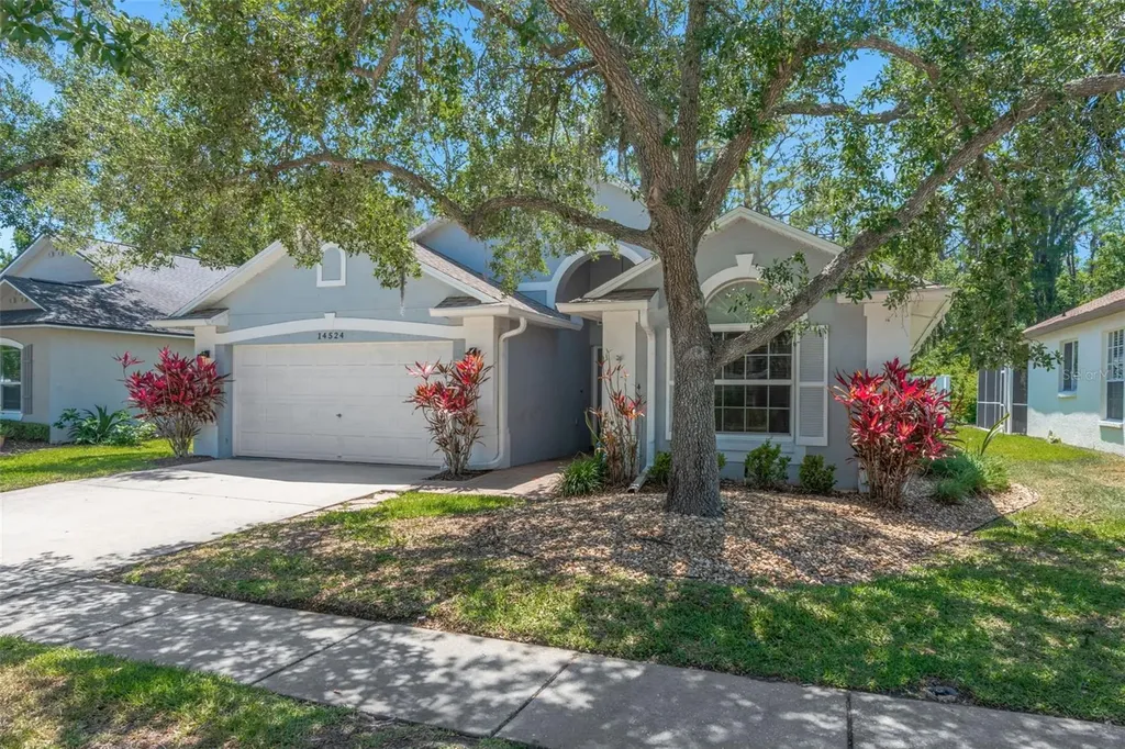 14524 Weeping Elm Drive Tampa FL 33626