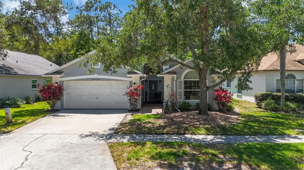 14524 Weeping Elm Drive Tampa FL 33626