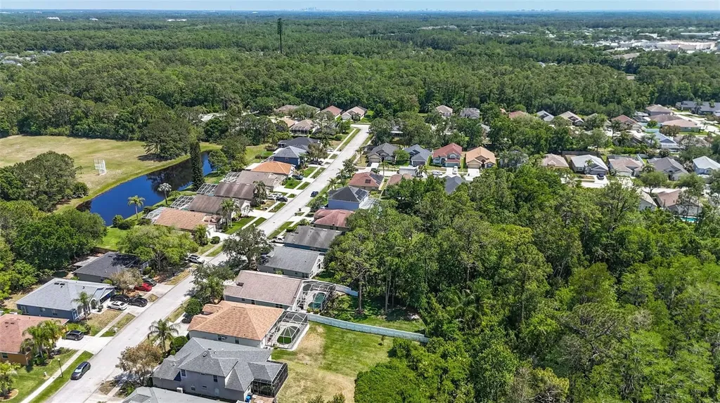 14524 Weeping Elm Drive Tampa FL 33626