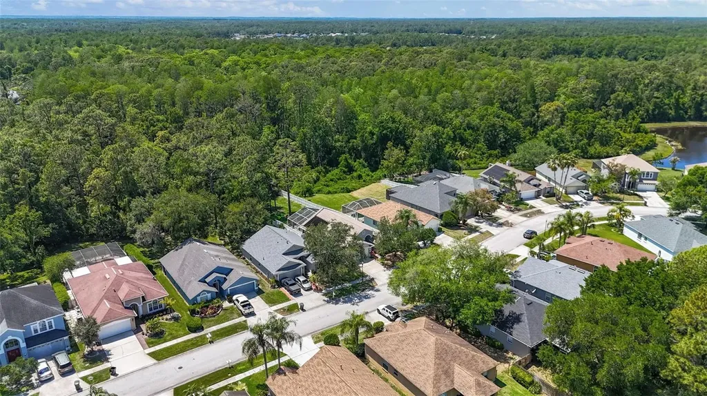 14524 Weeping Elm Drive Tampa FL 33626