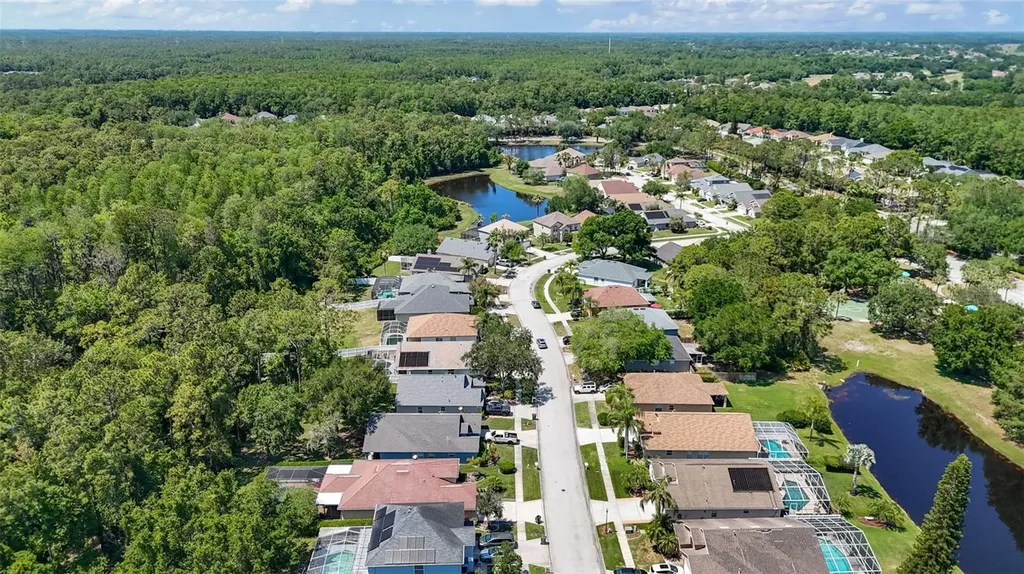 14524 Weeping Elm Drive Tampa FL 33626