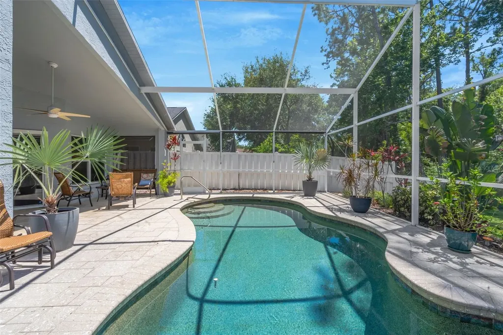 14524 Weeping Elm Drive Tampa FL 33626