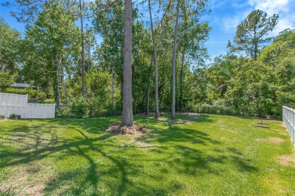 14524 Weeping Elm Drive Tampa FL 33626