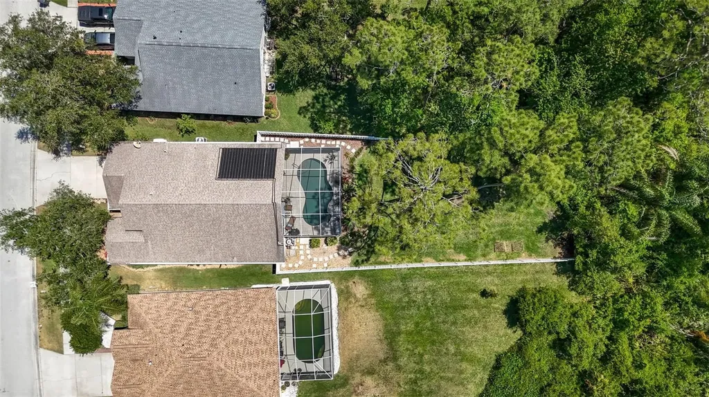 14524 Weeping Elm Drive Tampa FL 33626