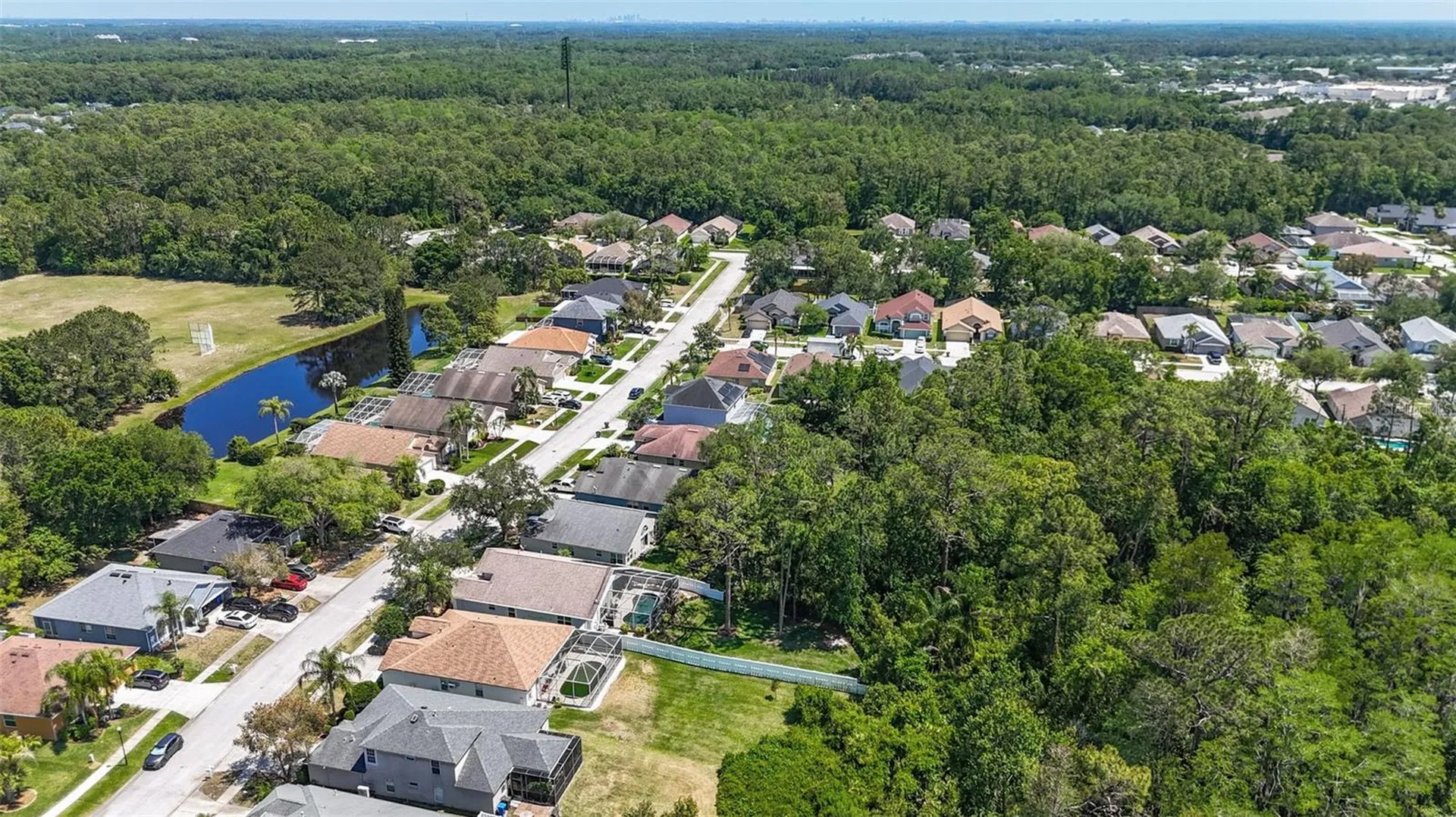14524 Weeping Elm Drive Tampa FL 33626