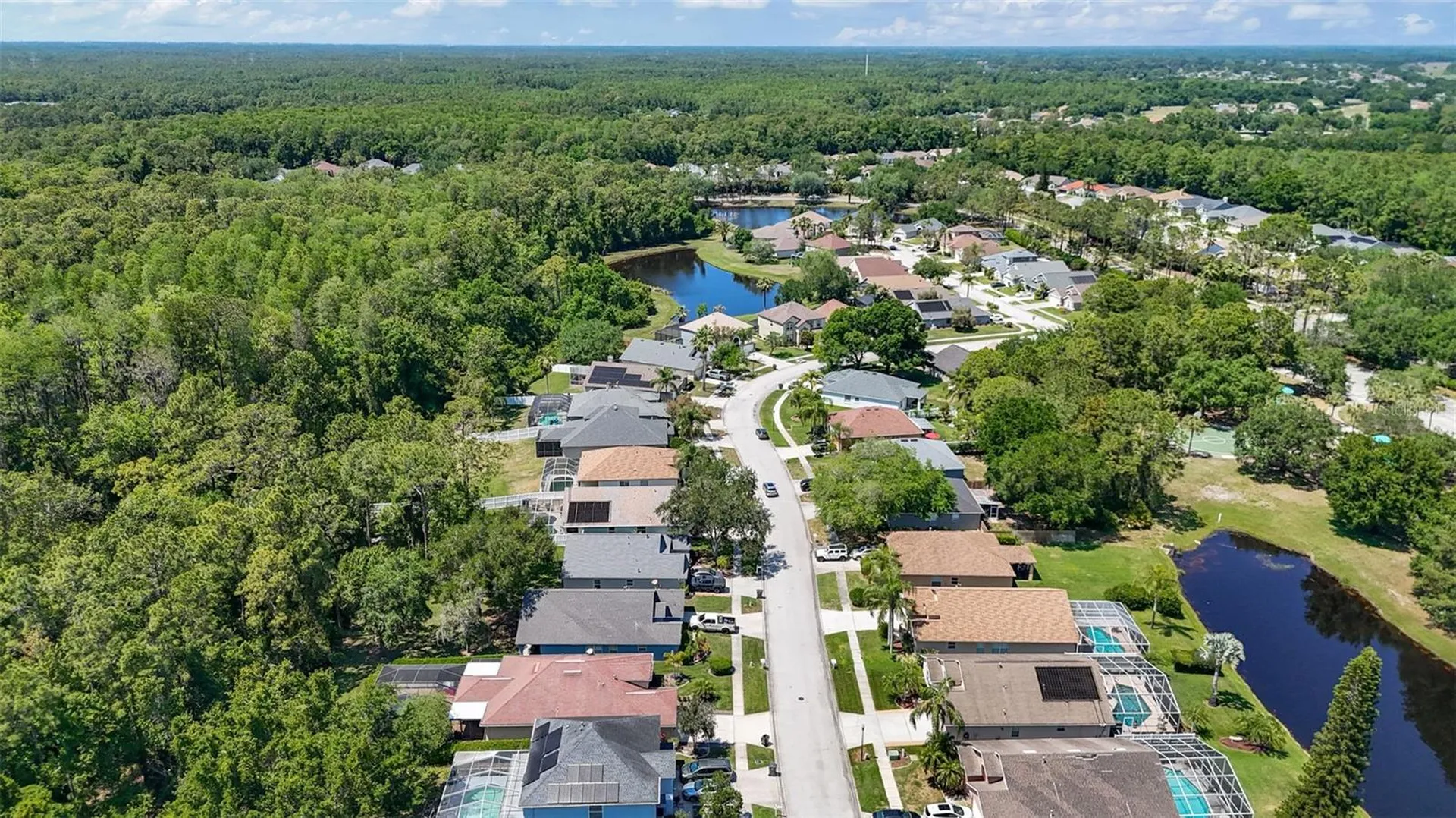 14524 Weeping Elm Drive Tampa FL 33626
