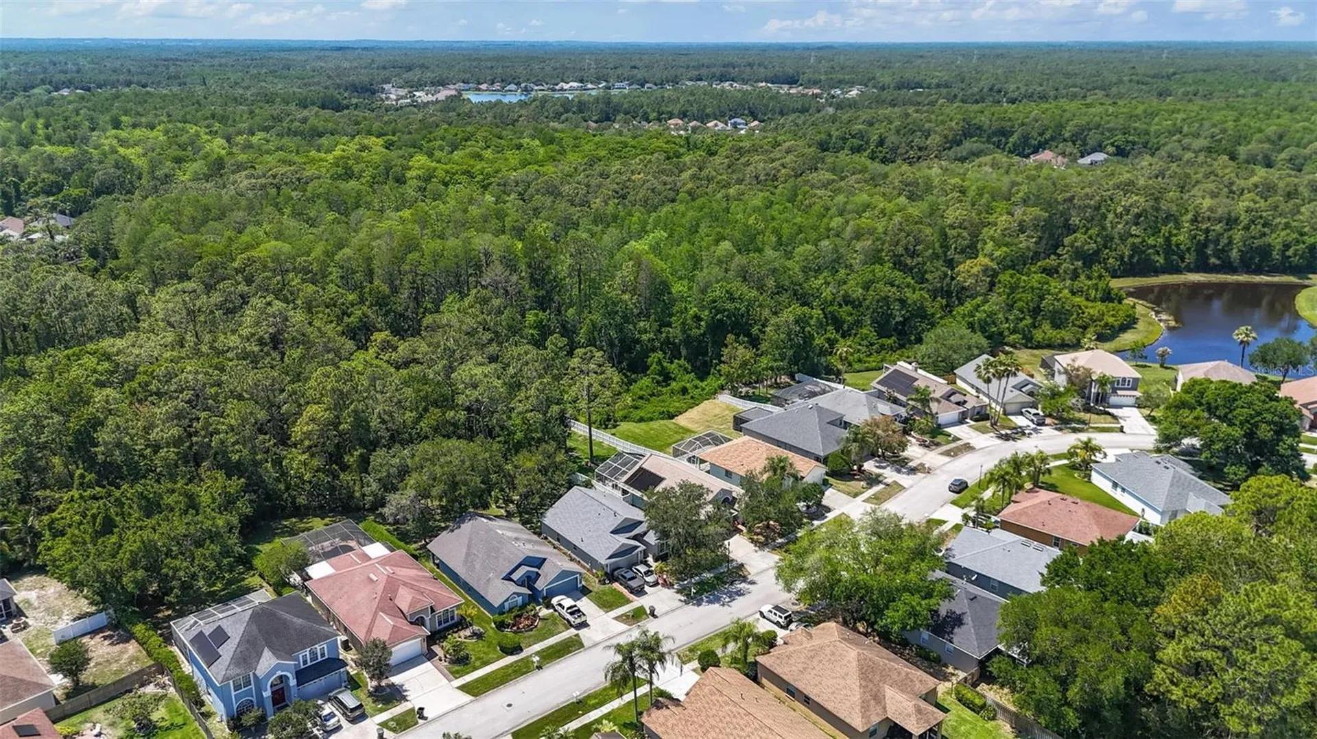 14524 Weeping Elm Drive Tampa FL 33626