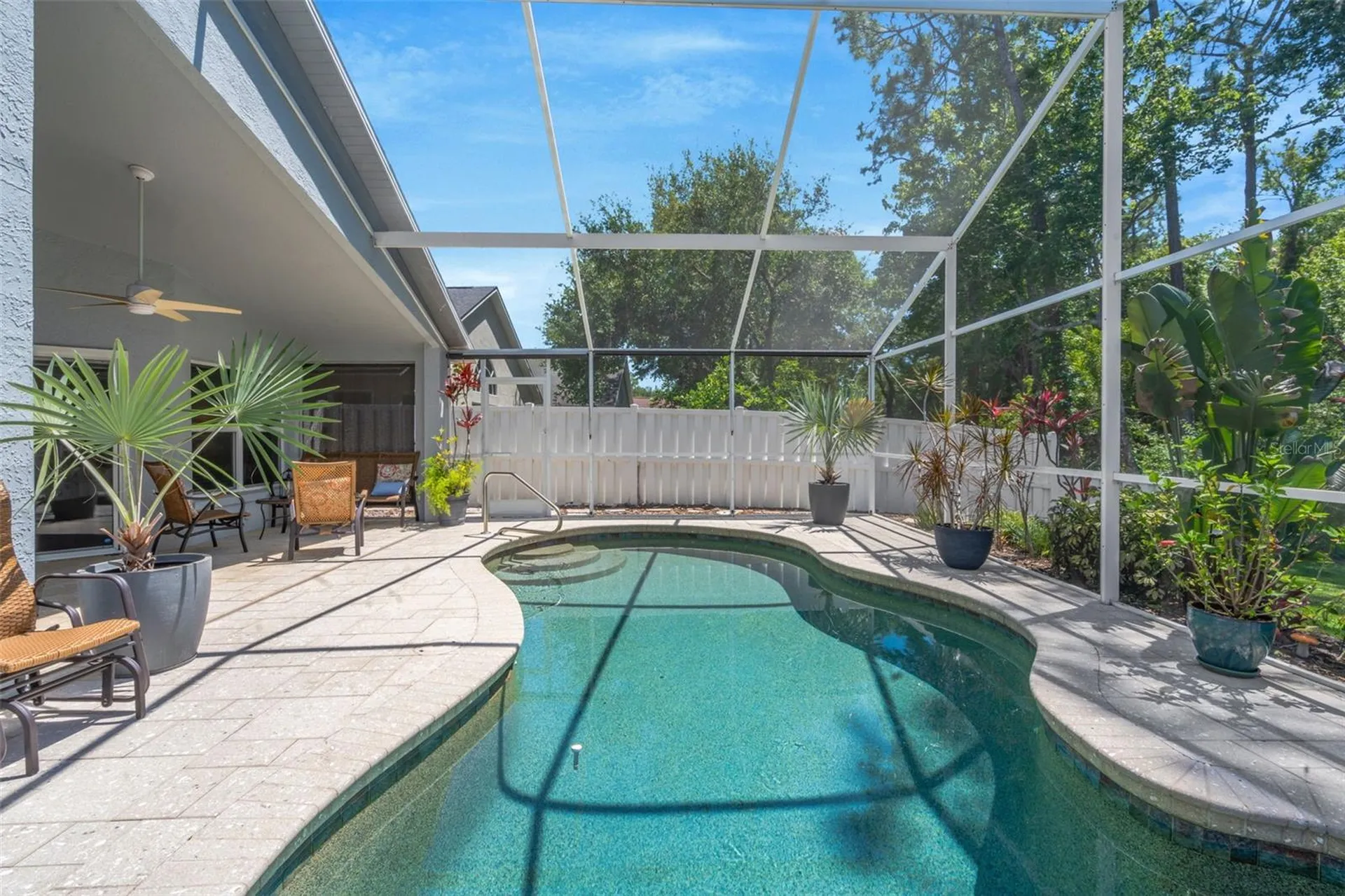 14524 Weeping Elm Drive Tampa FL 33626