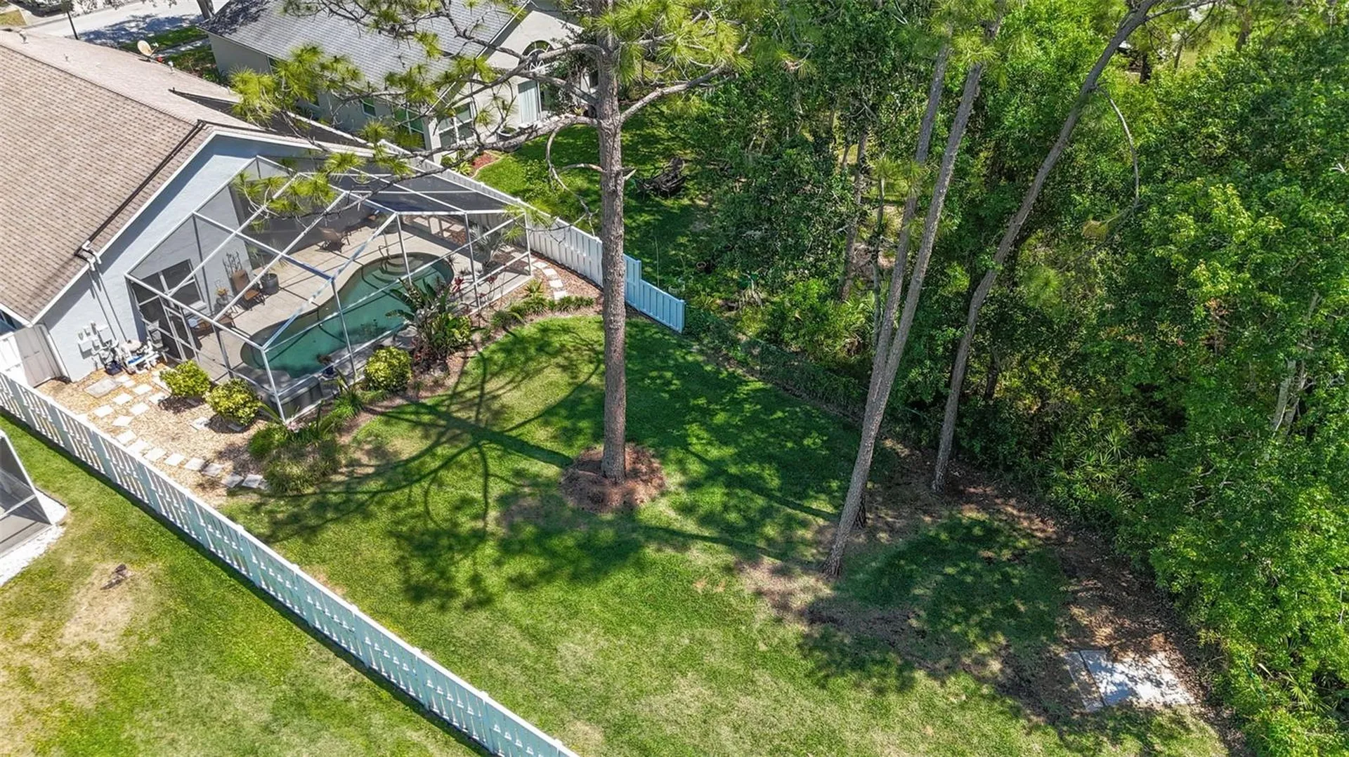 14524 Weeping Elm Drive Tampa FL 33626