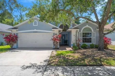 14524 Weeping Elm Drive Tampa FL 33626