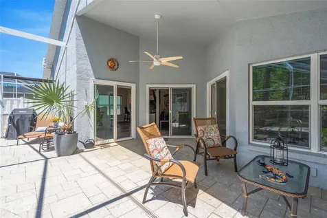 14524 Weeping Elm Drive Tampa FL 33626