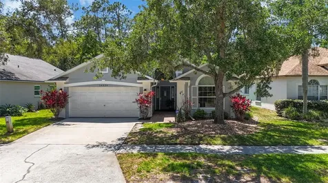 14524 Weeping Elm Drive Tampa FL 33626