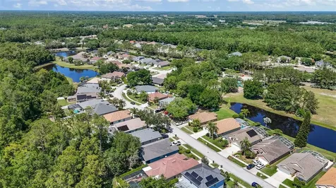 14524 Weeping Elm Drive Tampa FL 33626