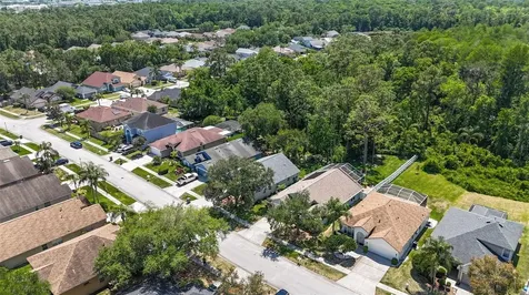 14524 Weeping Elm Drive Tampa FL 33626
