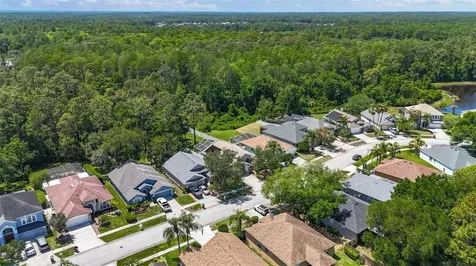 14524 Weeping Elm Drive Tampa FL 33626