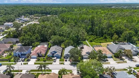 14524 Weeping Elm Drive Tampa FL 33626