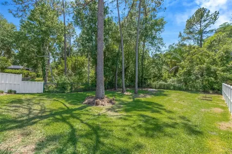 14524 Weeping Elm Drive Tampa FL 33626