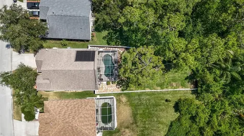 14524 Weeping Elm Drive Tampa FL 33626