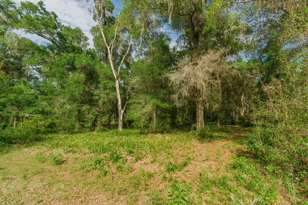 12205 N Elkcam Boulevard Dunnellon FL 34433