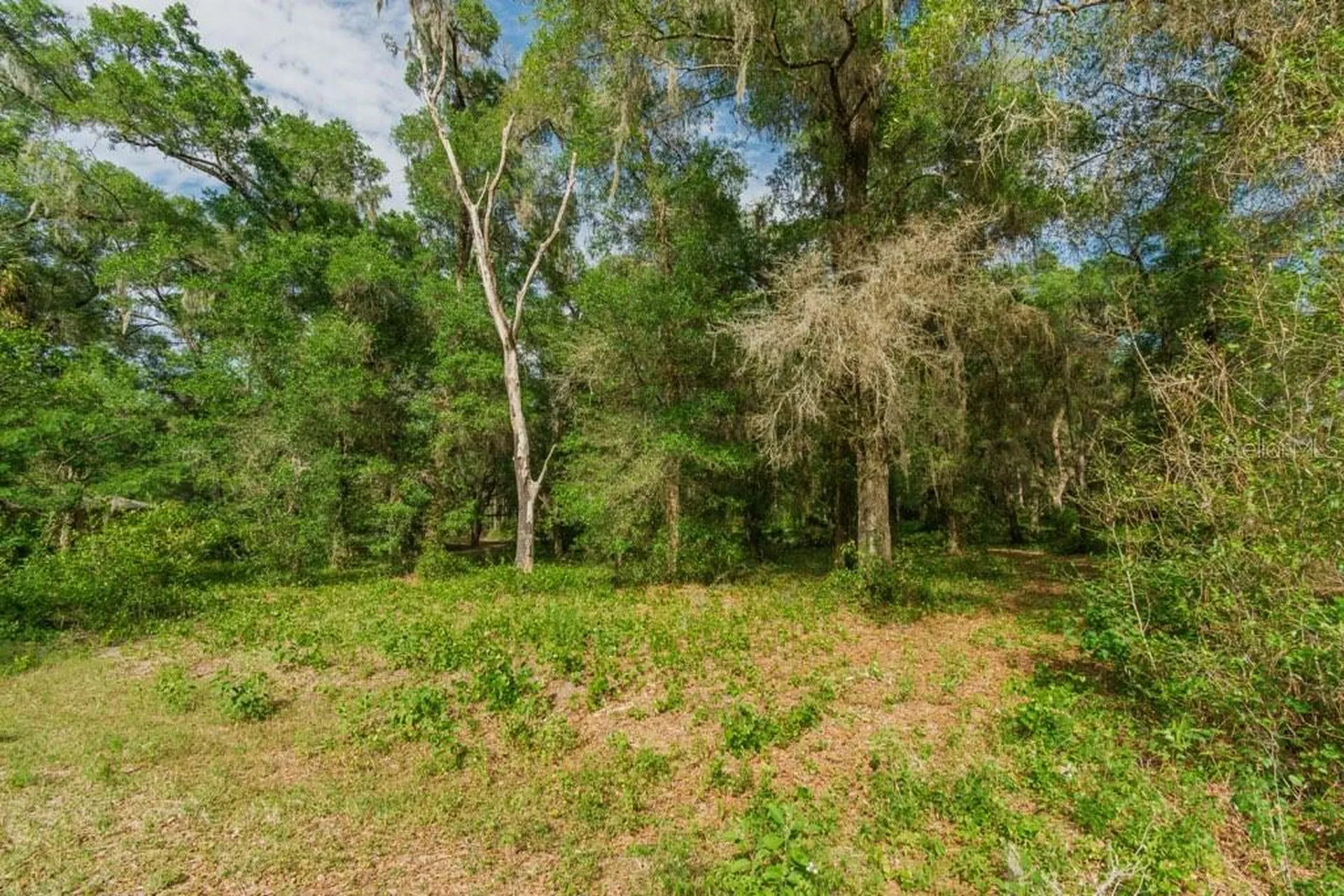 12205 N Elkcam Boulevard Dunnellon FL 34433