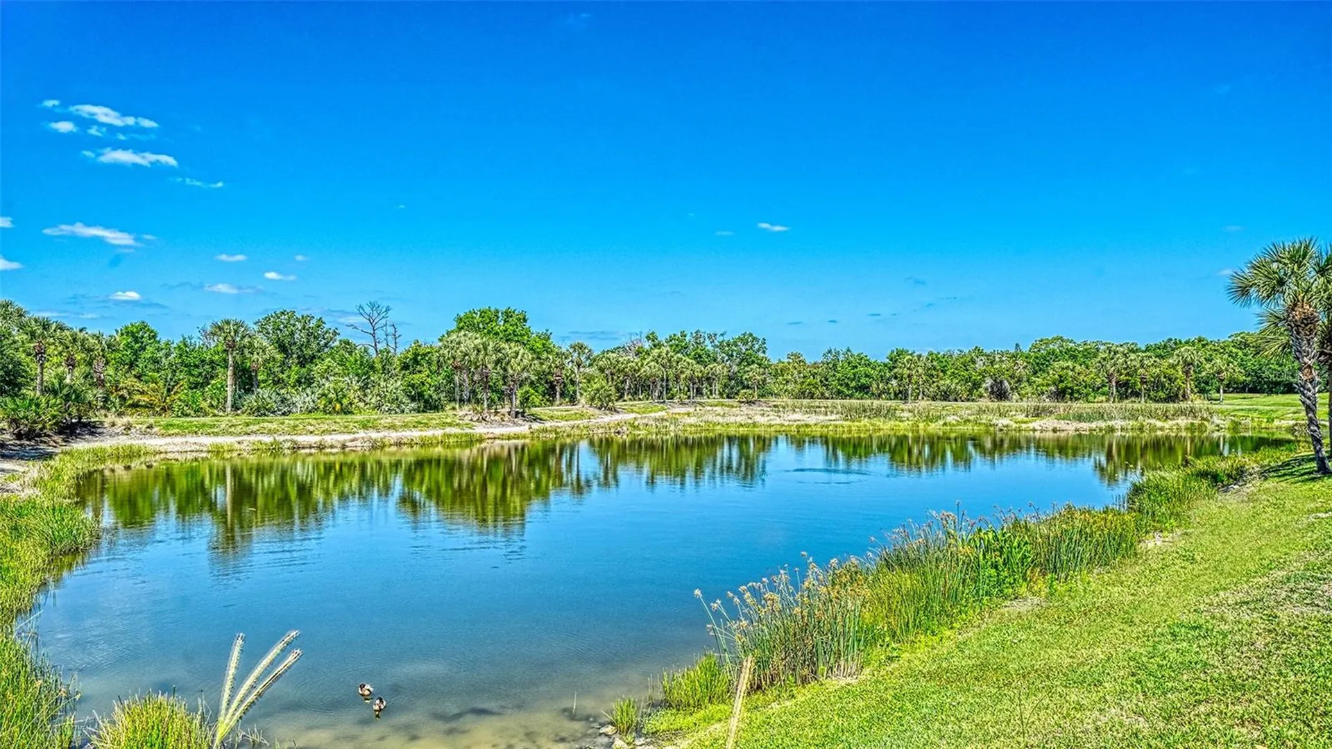 1424 Blue Horizon Circle Bradenton FL 34208