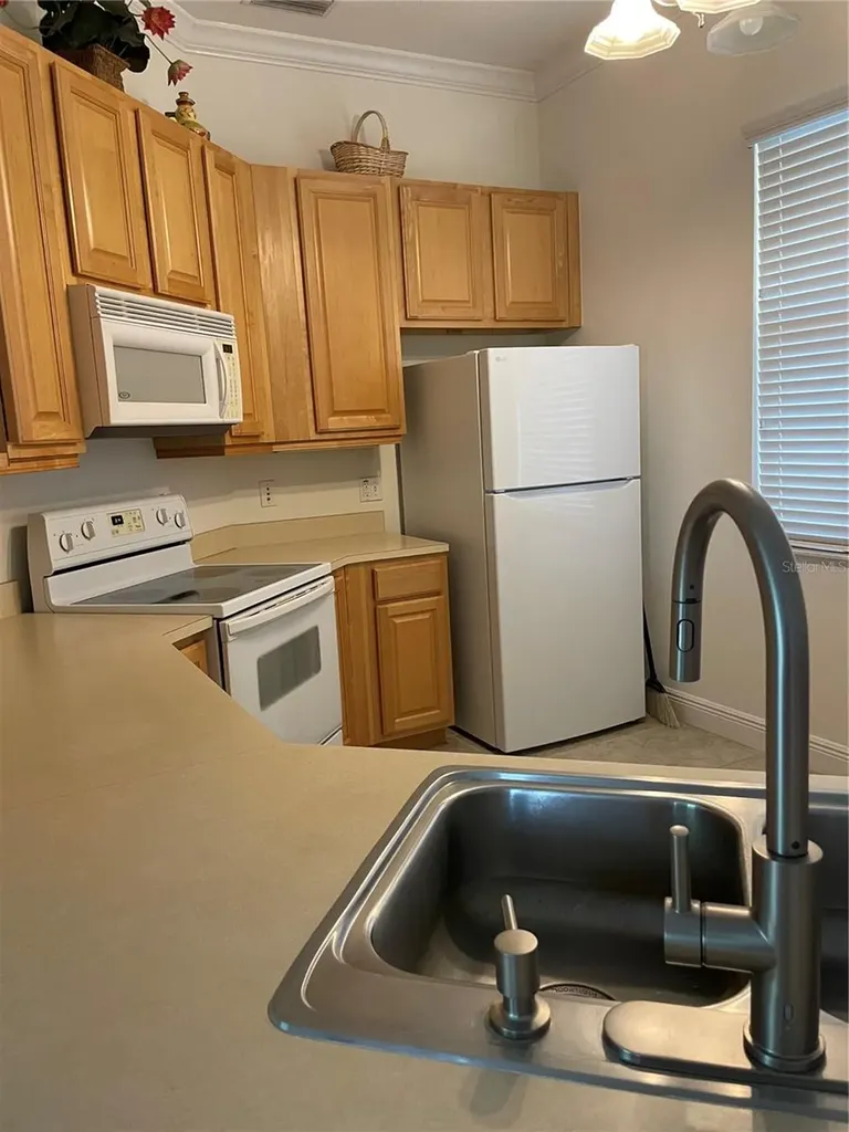 6816 Dali Avenue Land O Lakes FL 34637