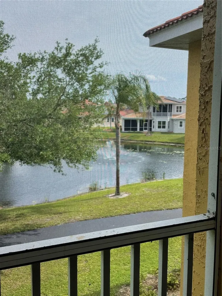 6816 Dali Avenue Land O Lakes FL 34637