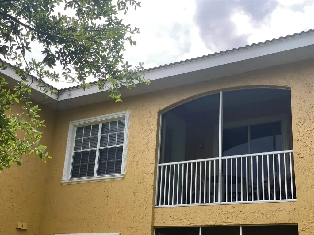6816 Dali Avenue Land O Lakes FL 34637