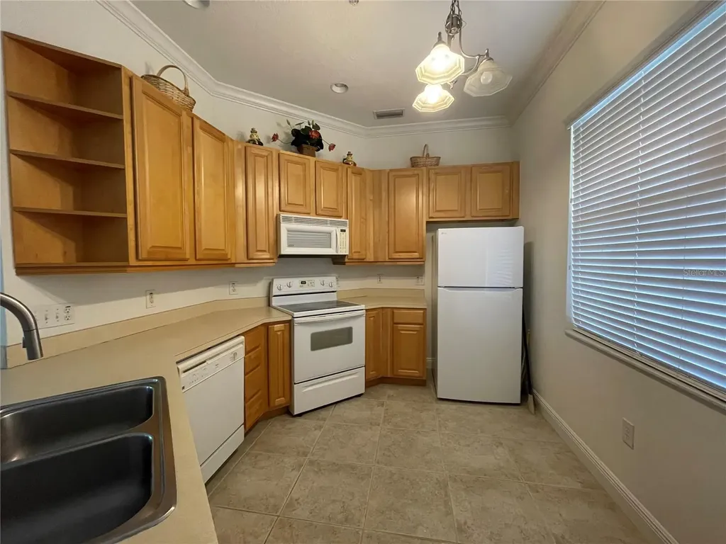 6816 Dali Avenue Land O Lakes FL 34637