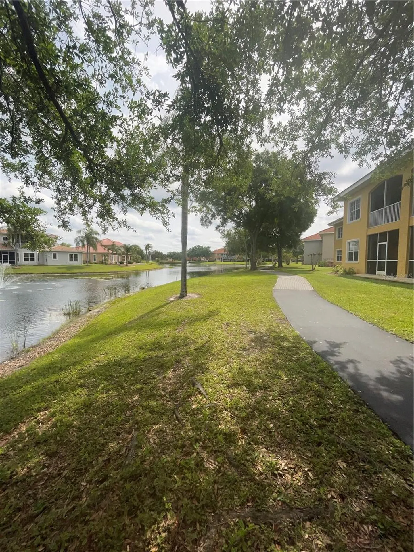 6816 Dali Avenue Land O Lakes FL 34637