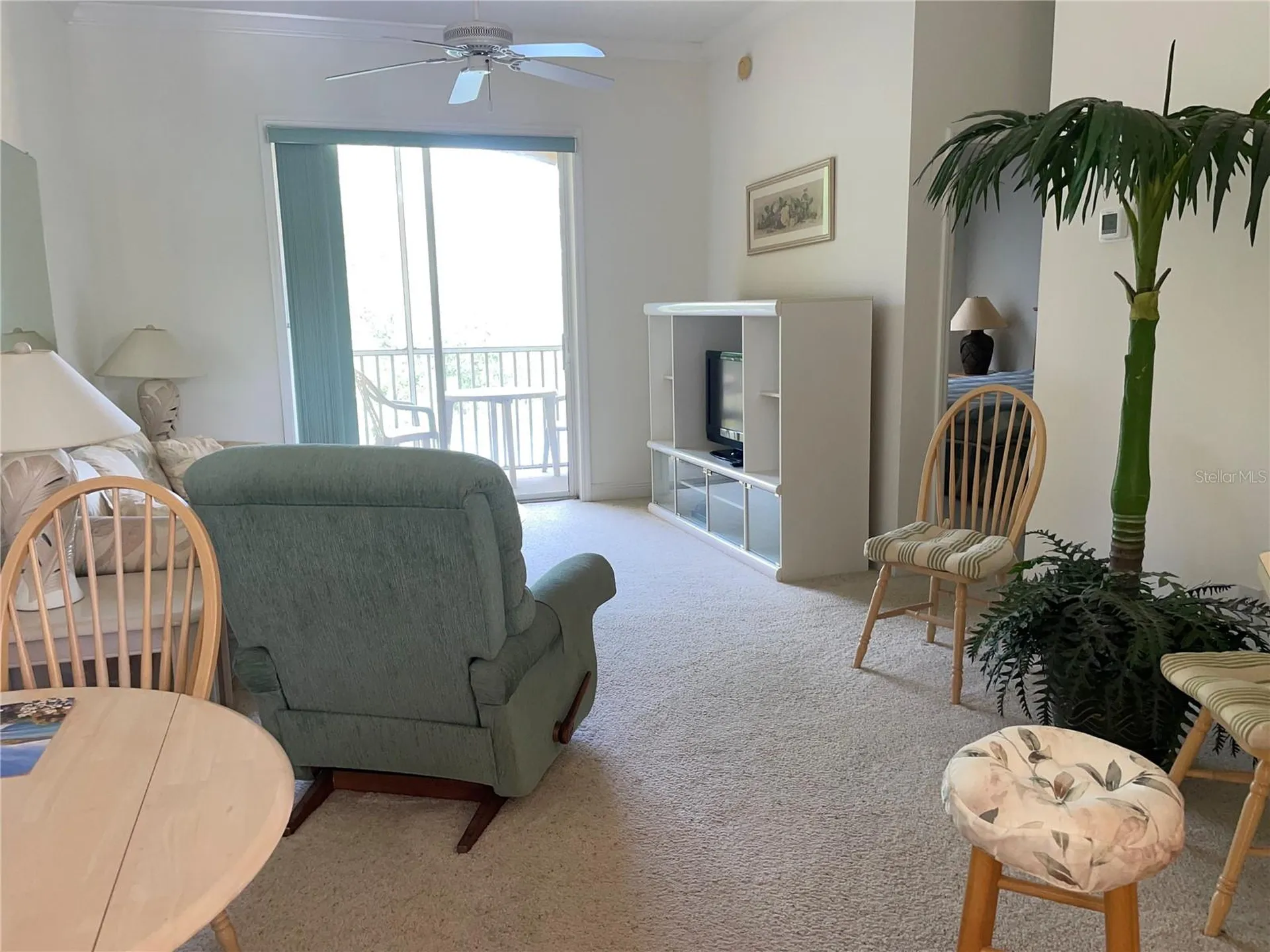 6816 Dali Avenue Land O Lakes FL 34637
