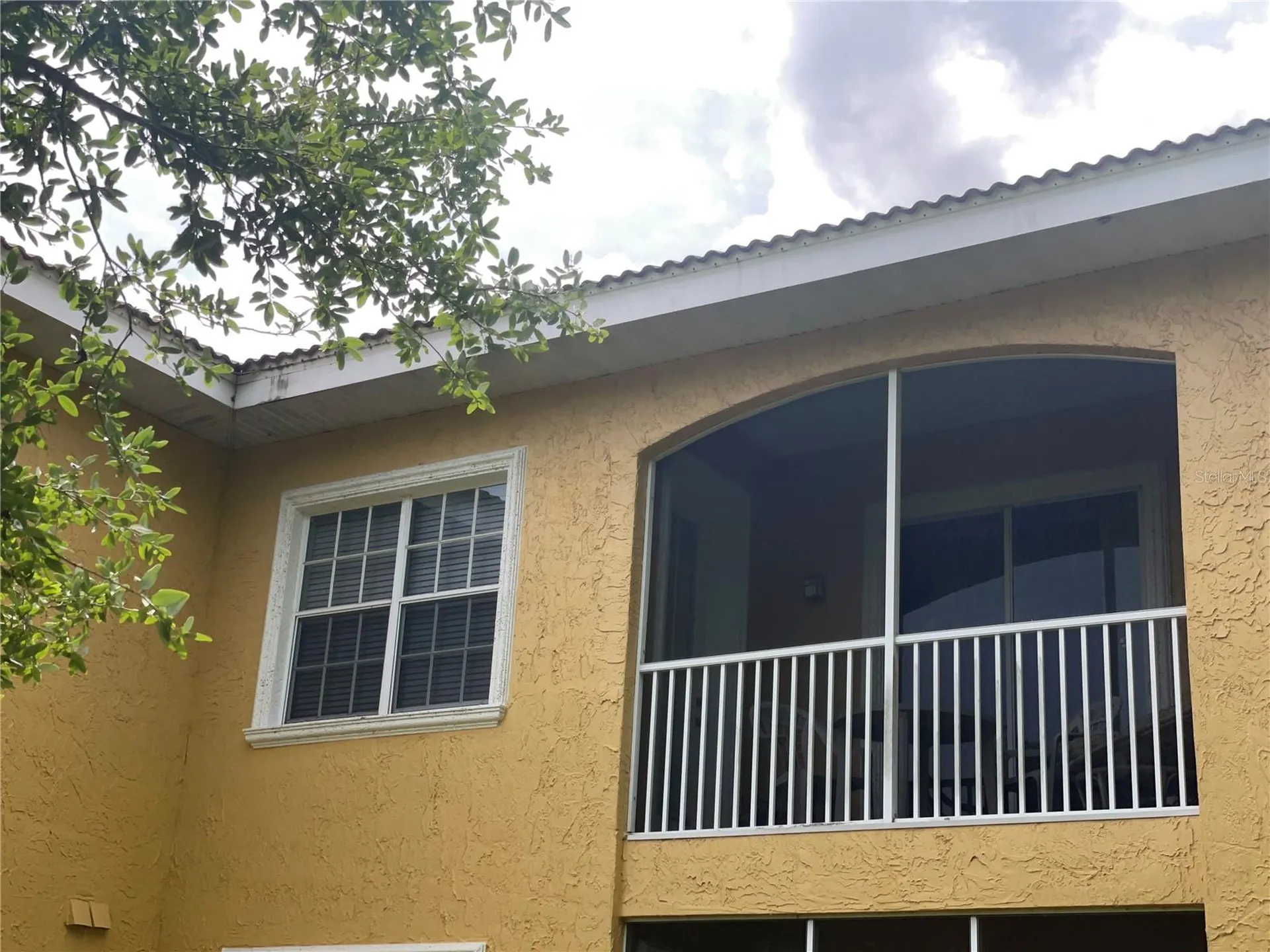 6816 Dali Avenue Land O Lakes FL 34637