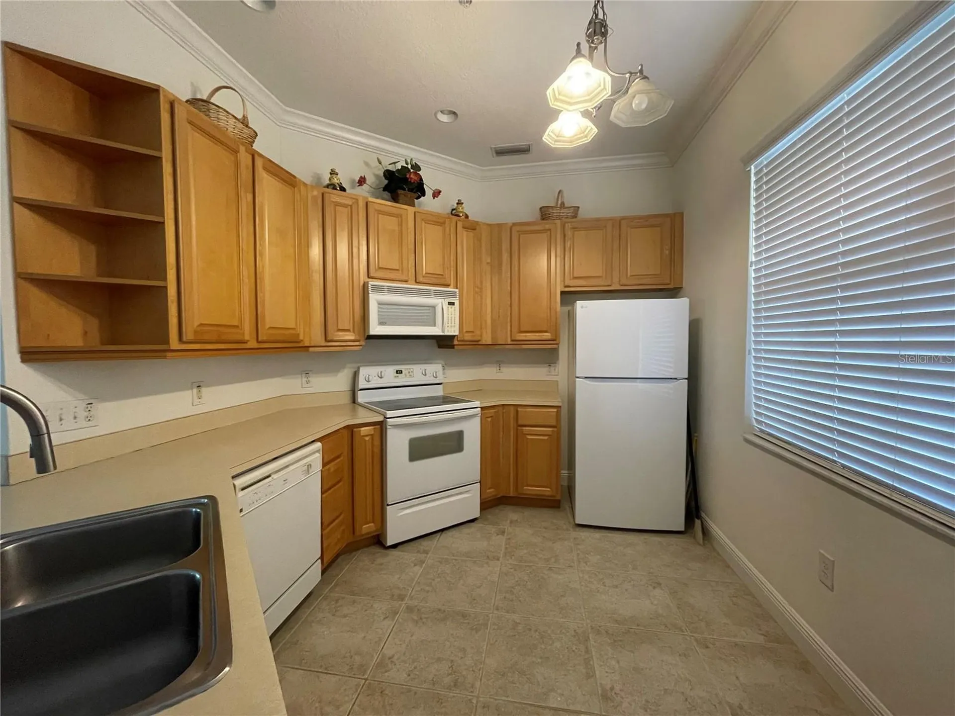 6816 Dali Avenue Land O Lakes FL 34637
