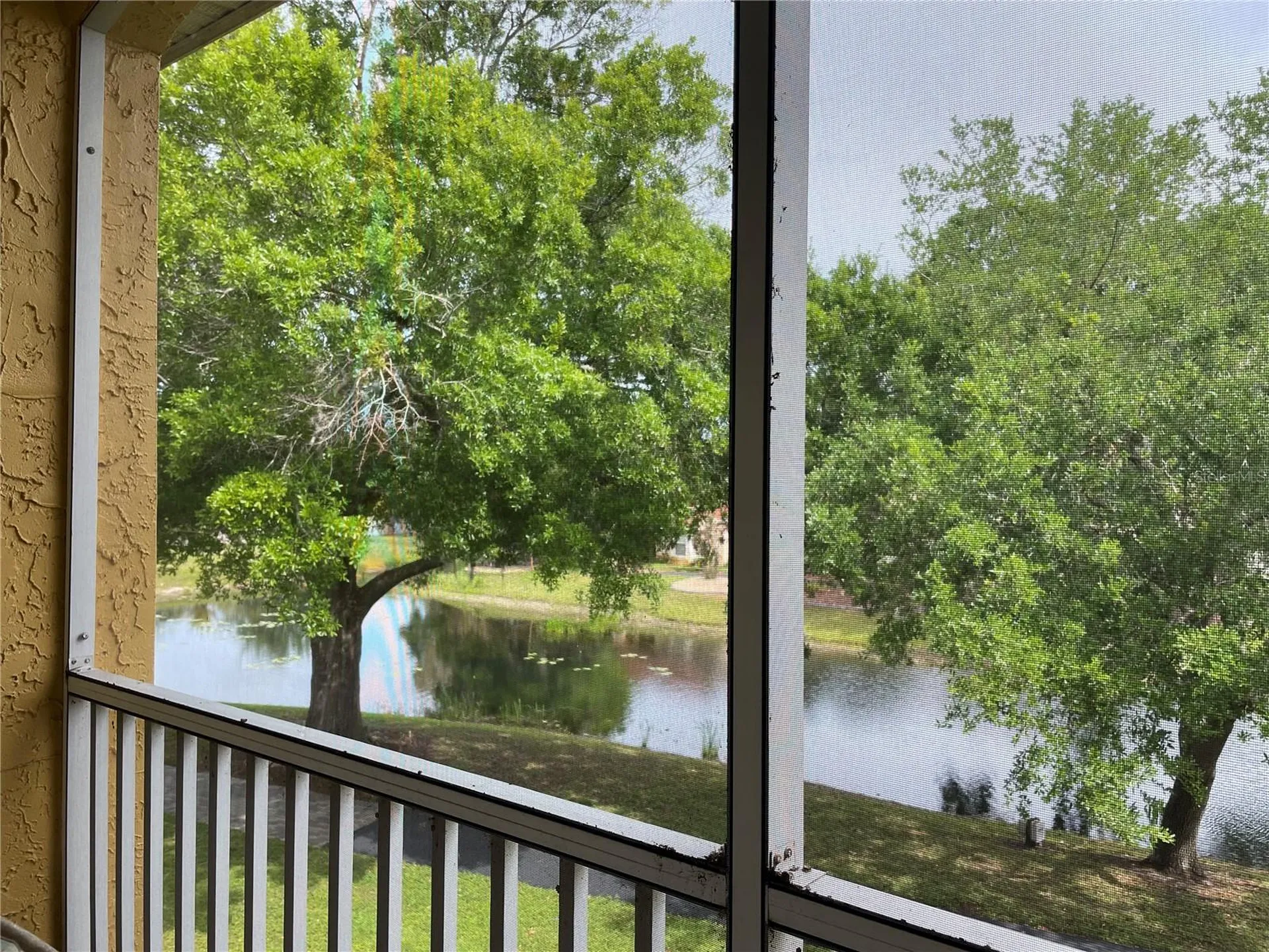 6816 Dali Avenue Land O Lakes FL 34637