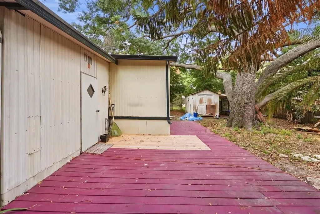 1908 Regina Drive Lake Alfred FL 33850