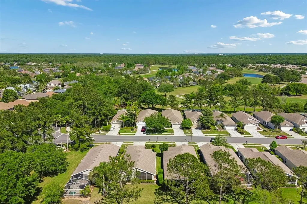 3231 Banyan Hill Lane Land O Lakes FL 34639