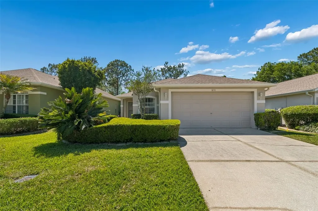 3231 Banyan Hill Lane Land O Lakes FL 34639