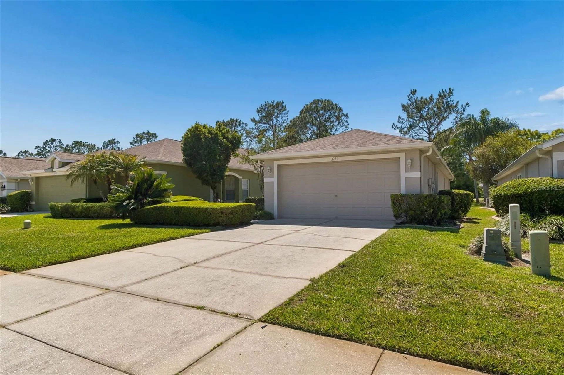 3231 Banyan Hill Lane Land O Lakes FL 34639