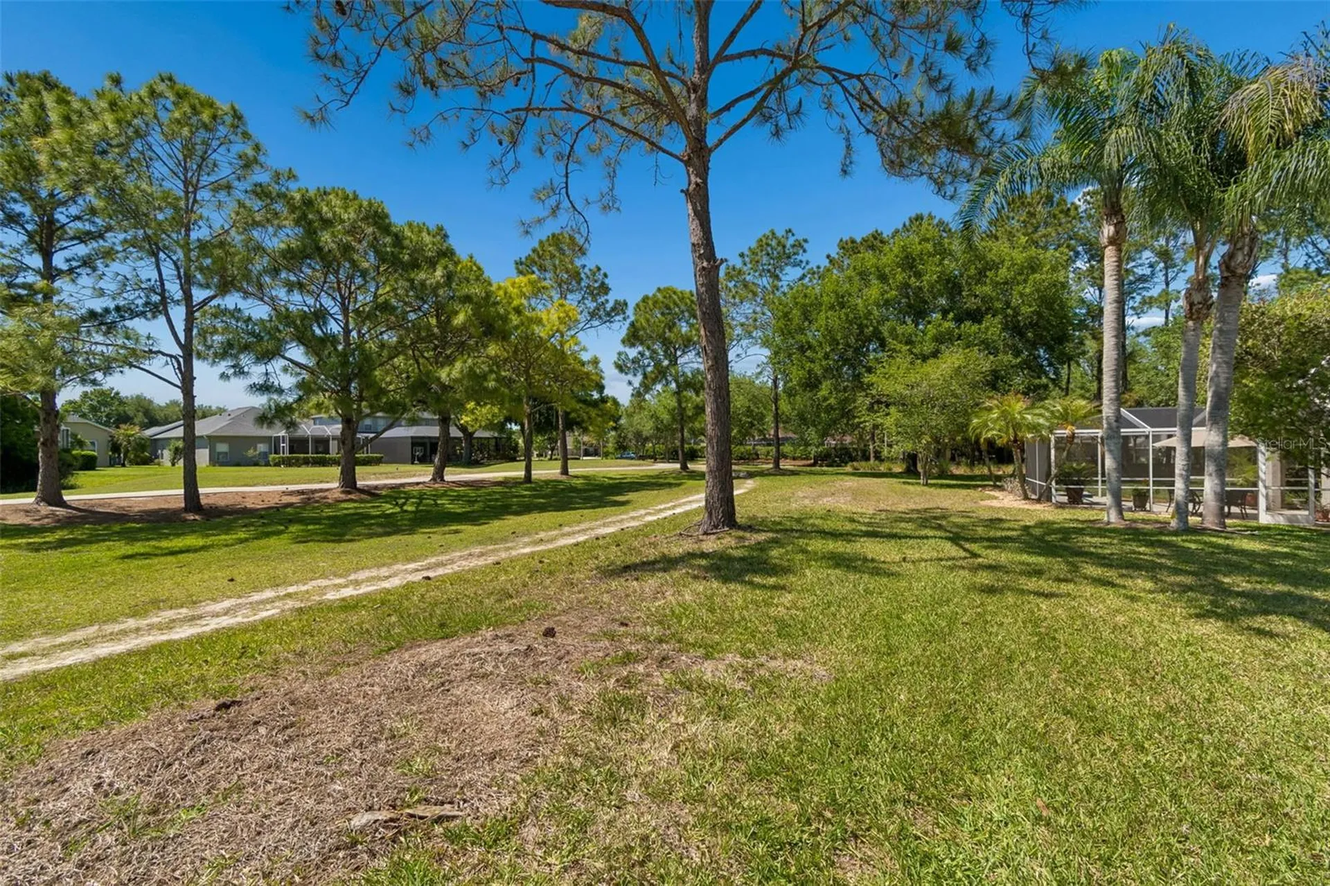 3231 Banyan Hill Lane Land O Lakes FL 34639