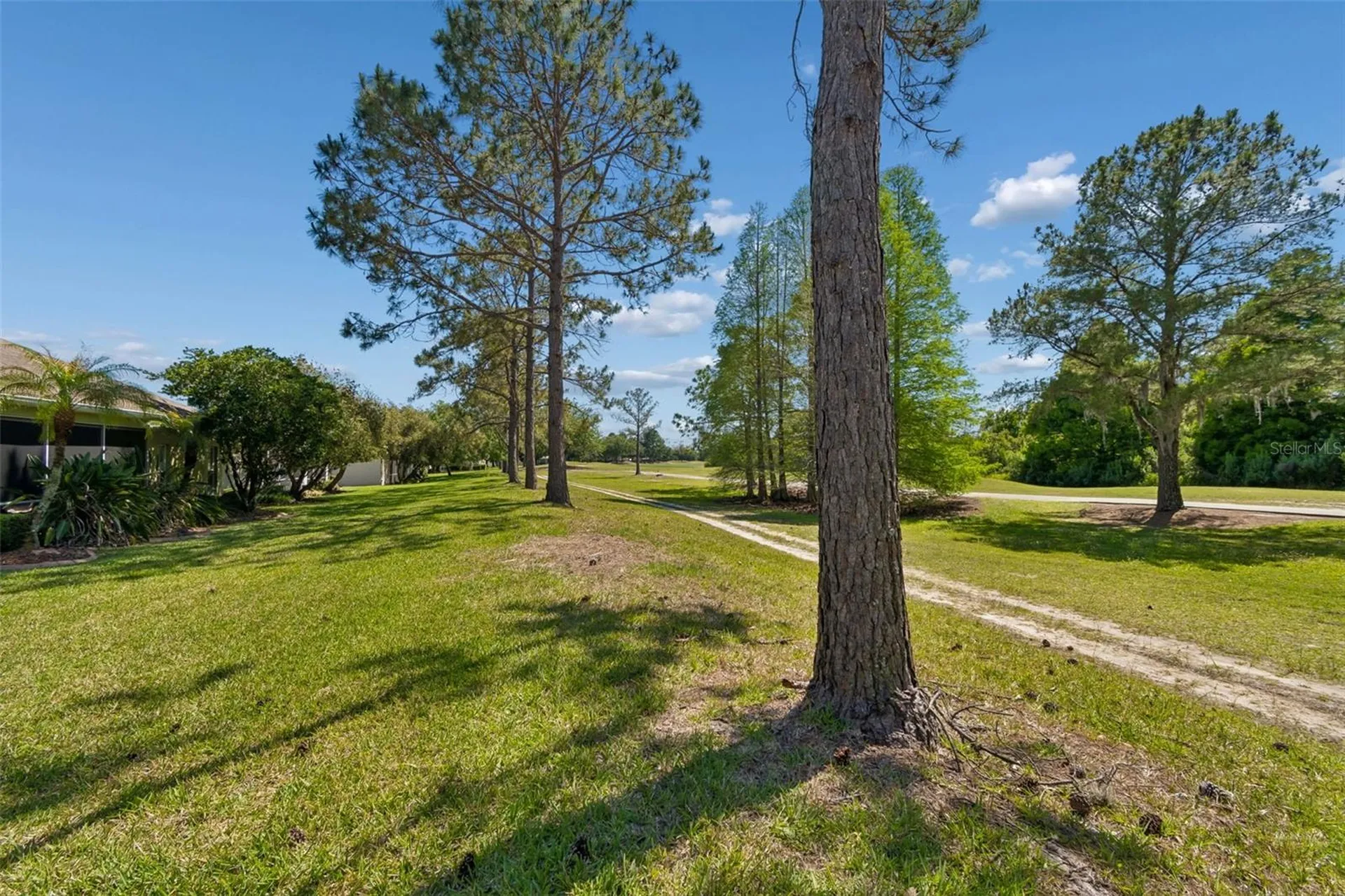 3231 Banyan Hill Lane Land O Lakes FL 34639