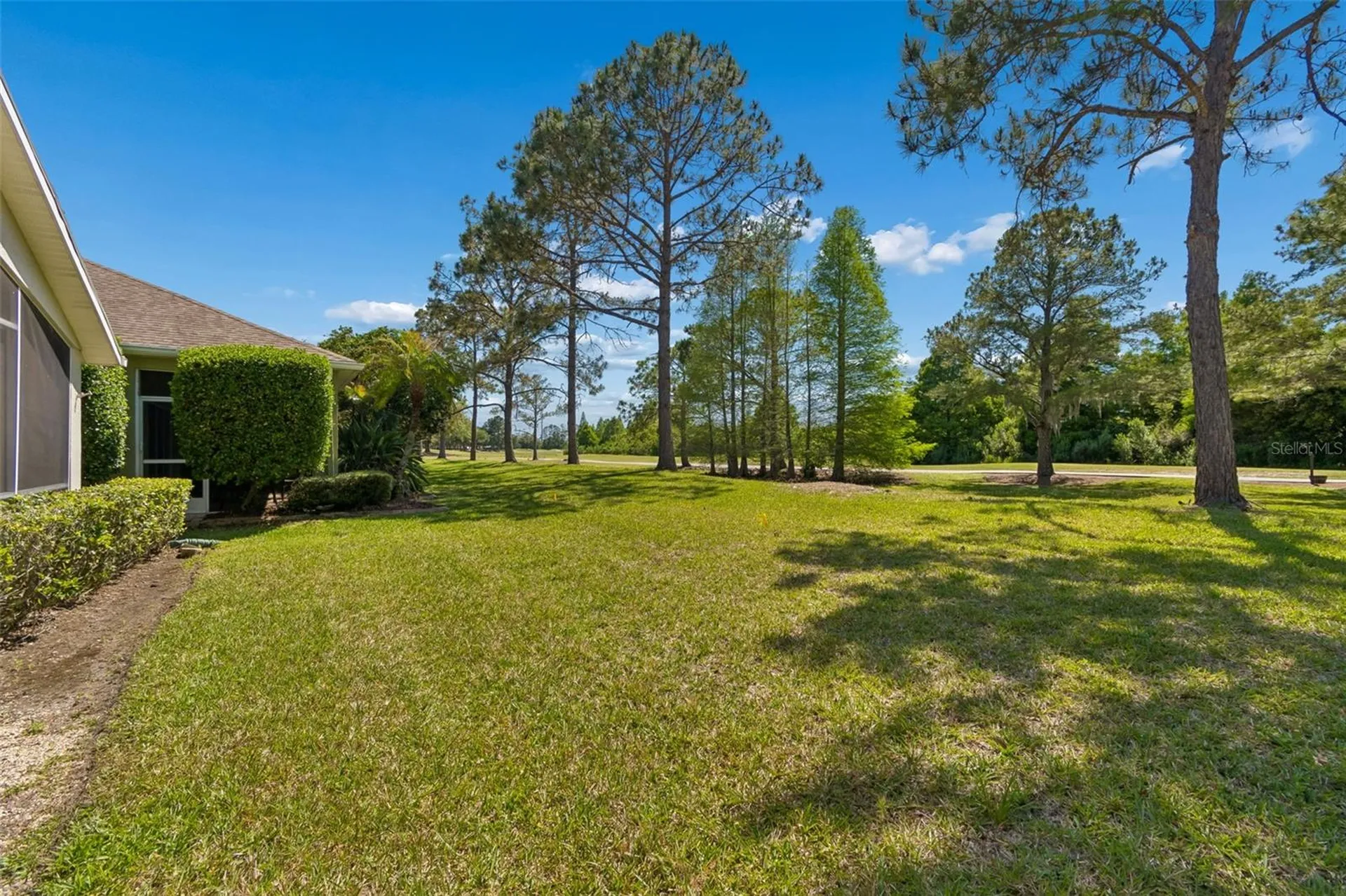 3231 Banyan Hill Lane Land O Lakes FL 34639