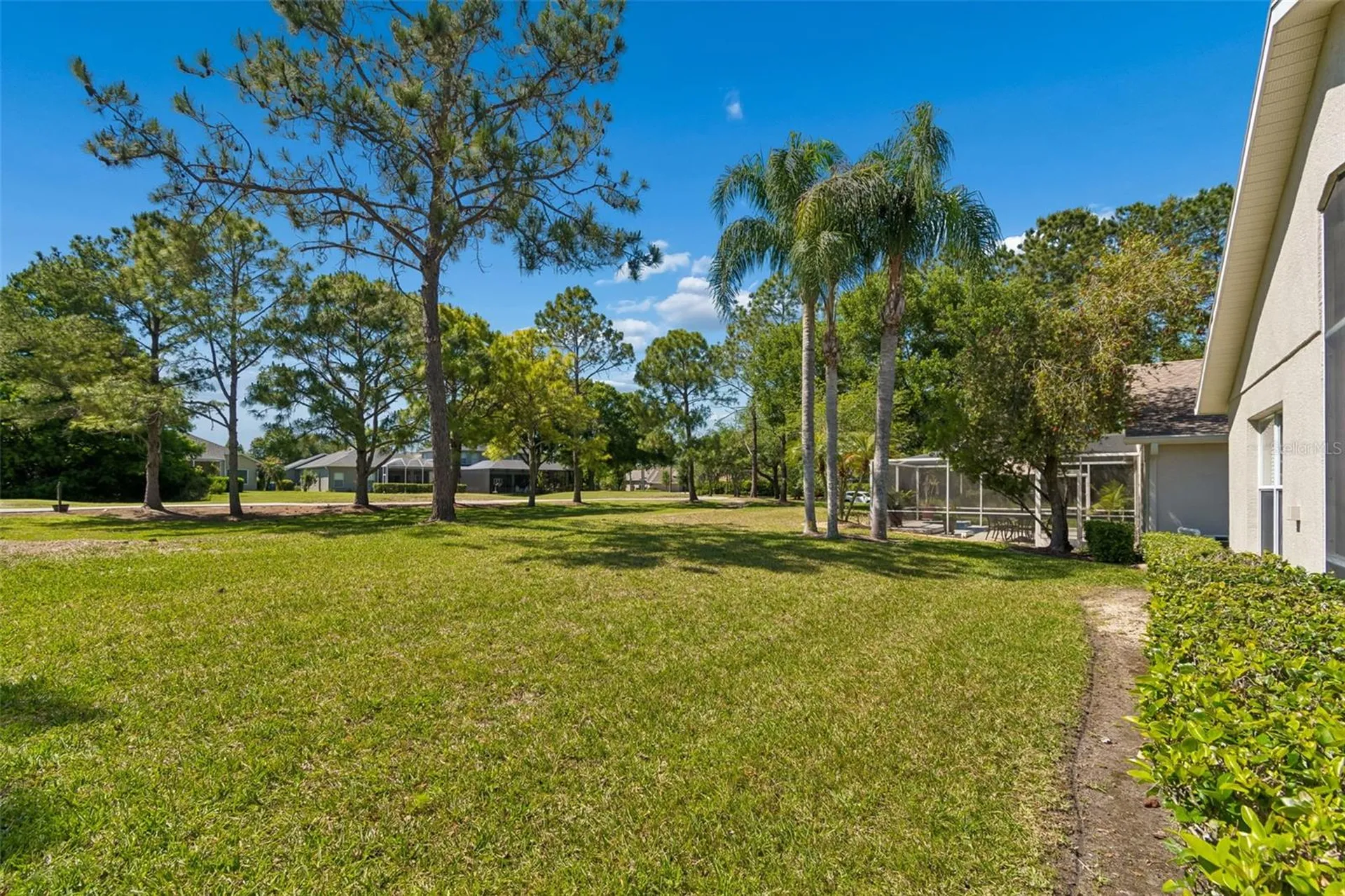 3231 Banyan Hill Lane Land O Lakes FL 34639