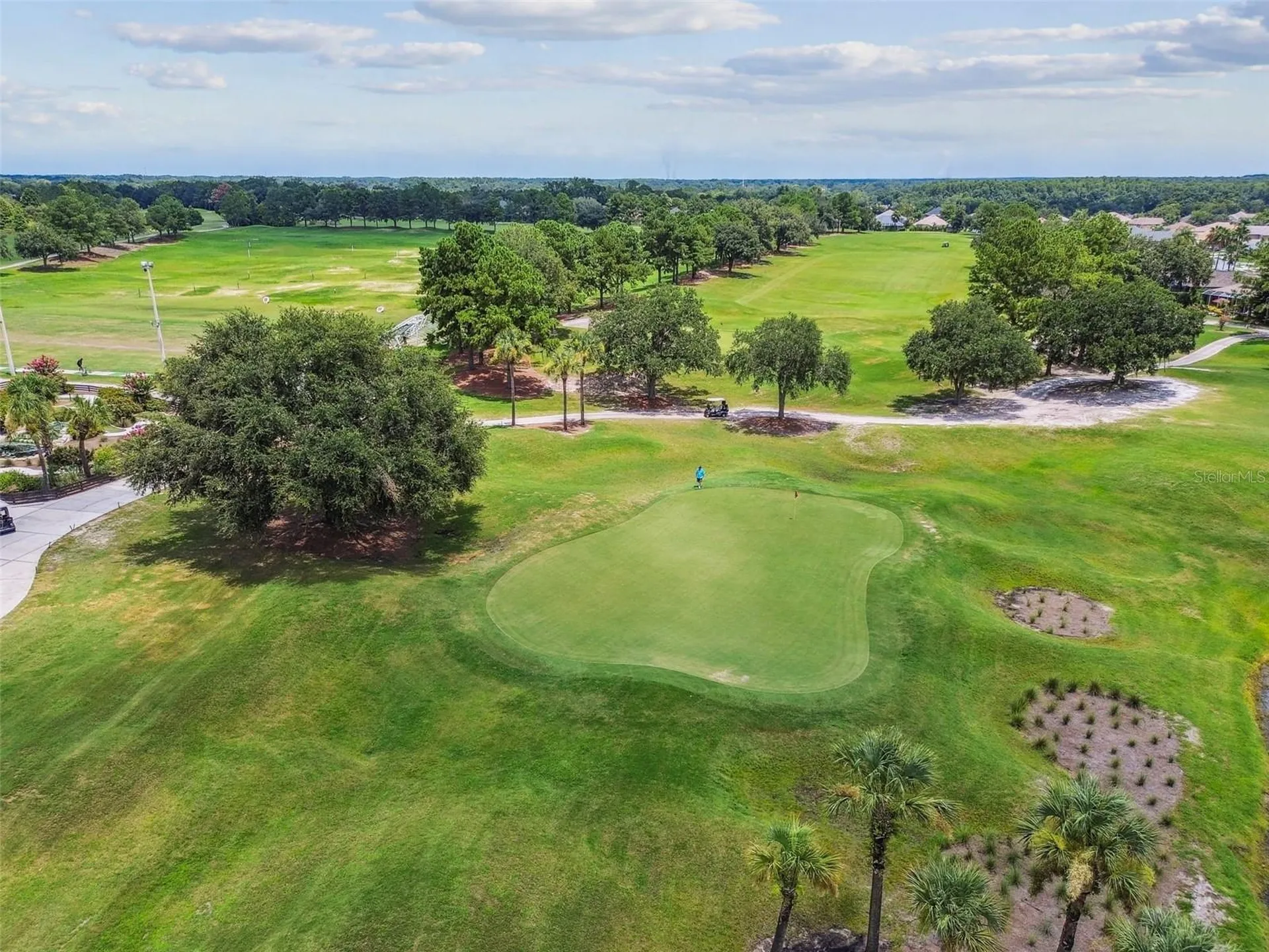 3231 Banyan Hill Lane Land O Lakes FL 34639