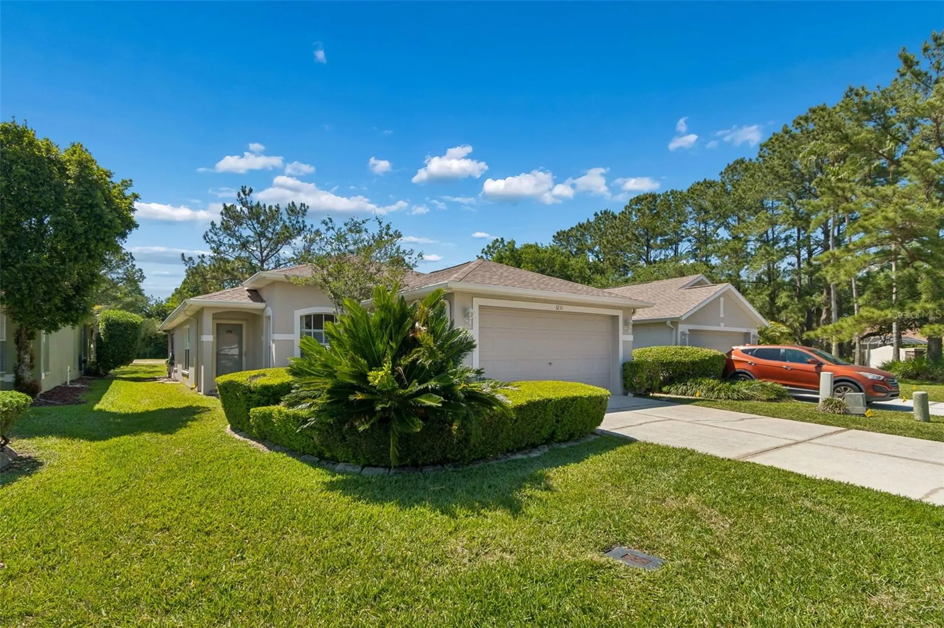 3231 Banyan Hill Lane Land O Lakes FL 34639