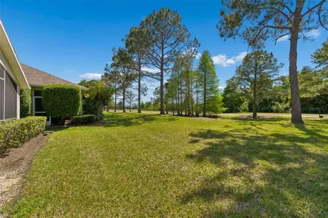 3231 Banyan Hill Lane Land O Lakes FL 34639